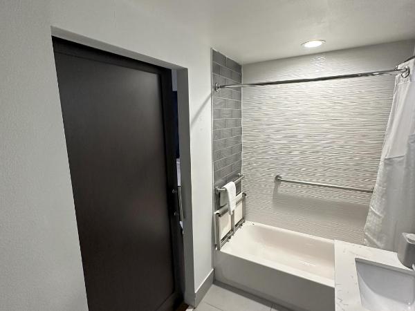 Holiday Inn Express - Dallas Downtown, an IHG Hotel : photo 4 de la chambre double room - mobility access tub/non-smoking