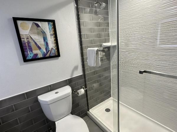 Holiday Inn Express - Dallas Downtown, an IHG Hotel : photo 3 de la chambre hébergement lit king-size standard