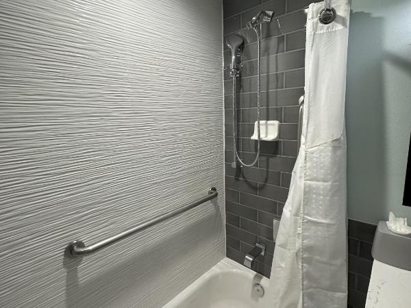 Holiday Inn Express - Dallas Downtown, an IHG Hotel : photo 2 de la chambre double room - mobility access tub/non-smoking