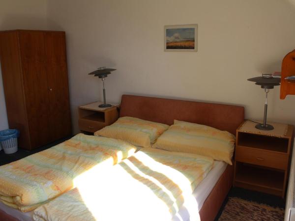 Pension Hanspaulka : photo 6 de la chambre chambre double standard