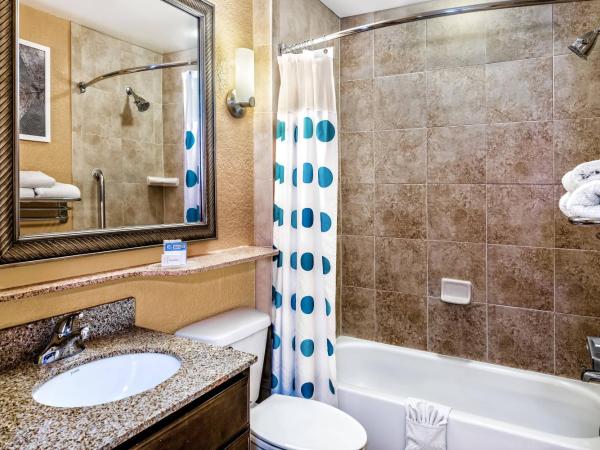 TownePlace Suites by Marriott San Antonio Northwest : photo 4 de la chambre studio lit king-size