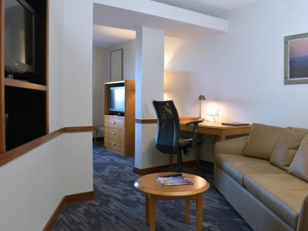Fairfield Inn & Suites Indianapolis East : photo 2 de la chambre suite lit king-size exécutive avec canapé-lit