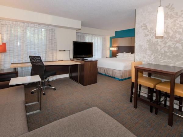 Residence Inn by Marriott Jacksonville Butler Boulevard : photo 1 de la chambre studio lit king-size avec canapé-lit