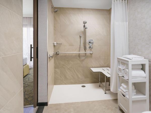 TownePlace Suites by Marriott New York Manhattan/Chelsea : photo 5 de la chambre studio lit king-size