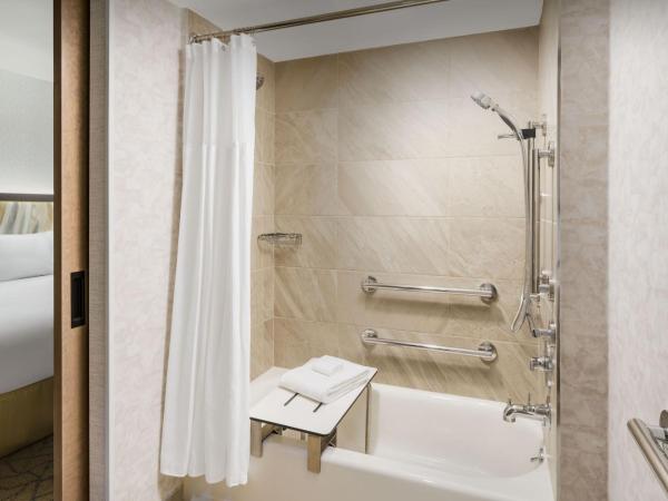 TownePlace Suites by Marriott New York Manhattan/Chelsea : photo 6 de la chambre studio lit king-size - vue sur ville