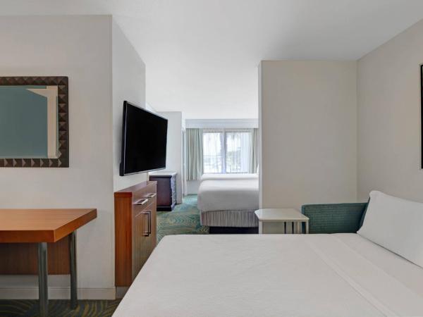 Springhill Suites Jacksonville : photo 2 de la chambre suite 2 lits queen-size avec canapé-lit 