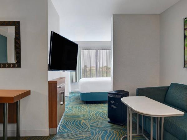 Springhill Suites Jacksonville : photo 1 de la chambre suite lit king-size standard avec canapé-lit – adaptée aux personnes souffrant d'allergies