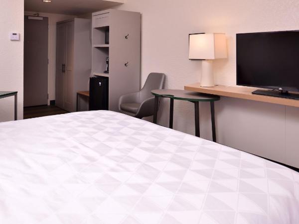 Holiday Inn & Suites Orlando I-Drive Theme Parks : photo 1 de la chambre chambre lit king-size standard