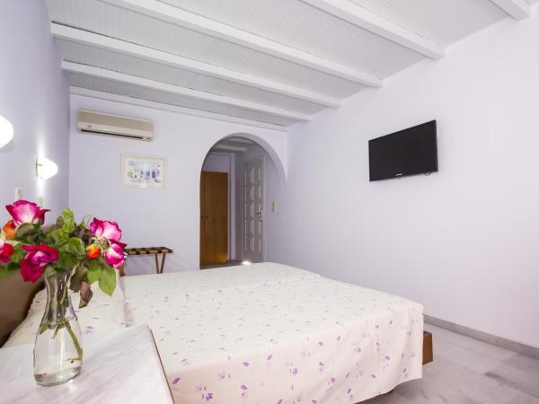 Naxos Holidays : photo 2 de la chambre chambre double ou lits jumeaux supérieure