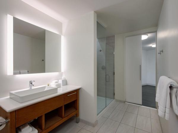 Element Detroit at the Metropolitan : photo 10 de la chambre suite 1 chambre avec 1 lit king-size et canapé-lit - vue sur ville