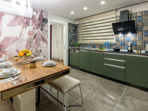 Baymari Suites Design Florya : photo 5 de la chambre economy two bedroom apartment - basement floor