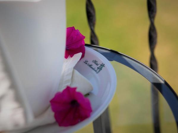 Hotel La Mandorla : photo 1 de la chambre chambre double standard