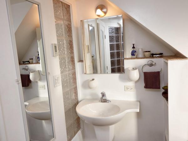 Ray's Bucktown Bed and Breakfast : photo 4 de la chambre chambre supérieure jacuzi