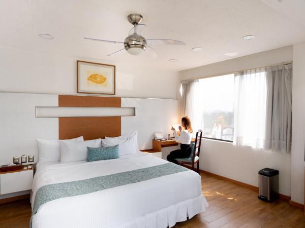 Suites Coben Apartamentos Amueblados : photo 2 de la chambre suite junior