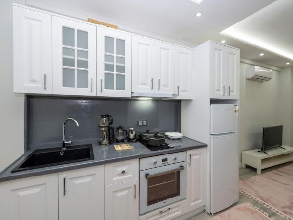 BOSPHORUS EXCLUSİVE RESİDENCE : photo 3 de la chambre chambre deluxe double ou lits jumeaux