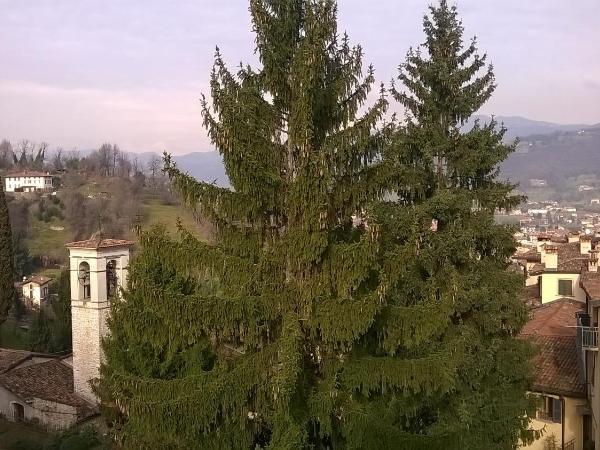 B&B Bergamo Alta : photo 9 de la chambre chambre double ou lits jumeaux avec salle de bains privative