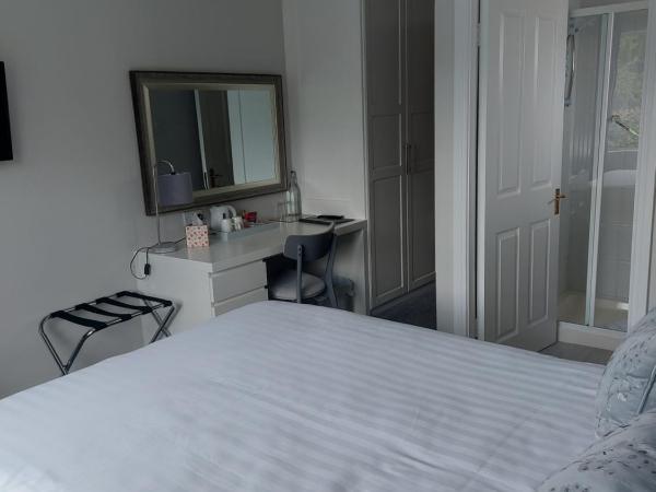 Blackrock Carole Ville Guesthouse : photo 4 de la chambre chambre double