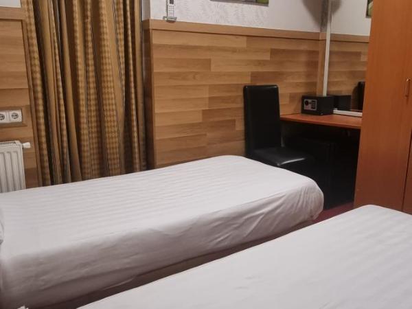 Hotel Isis : photo 6 de la chambre chambre lits jumeaux pour personnes à mobilité réduite