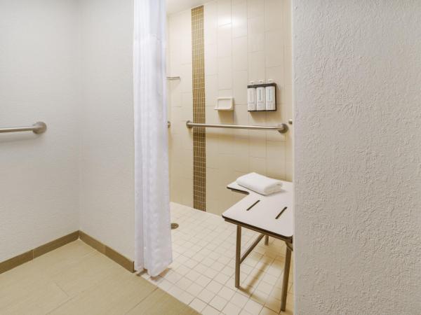 Hyatt Place Orlando / I-Drive / Convention Center : photo 5 de la chambre chambre lit king-size pour personnes à mobilité réduite avec douche accessible aux personnes à mobilité réduite