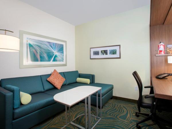 SpringHill Suites by Marriott Orlando at FLAMINGO CROSSINGS Town Center-Western Entrance : photo 2 de la chambre suite lit king-size avec canapé-lit