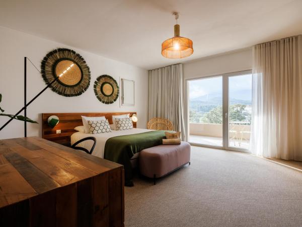 Le Balamina : photo 2 de la chambre chambre double avec terrasse