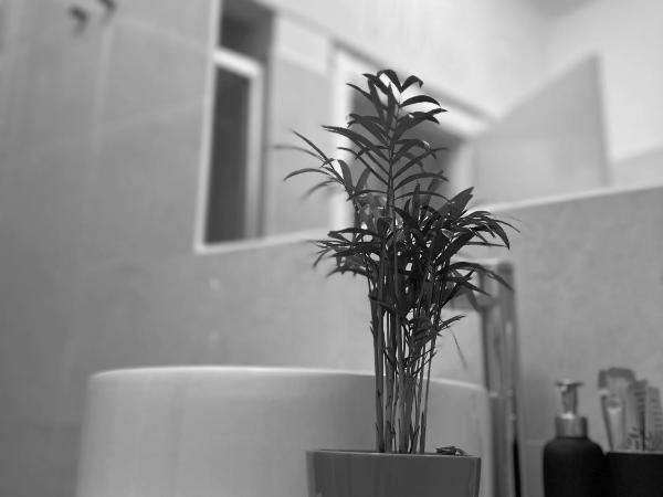 Boutique Hotel Novecento : photo 5 de la chambre chambre double