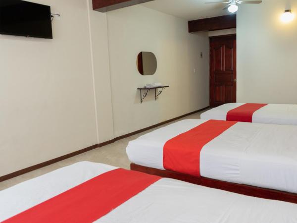 Hotel Esperanza, Oaxaca Centro : photo 4 de la chambre chambre familiale standard