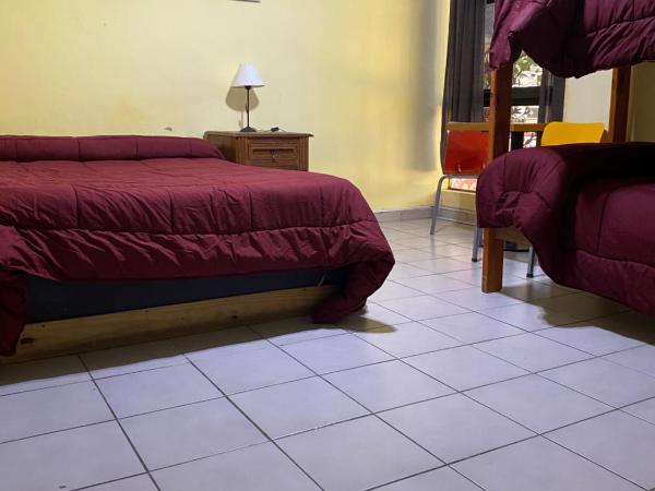 Mitre Suites : photo 1 de la chambre chambre quadruple