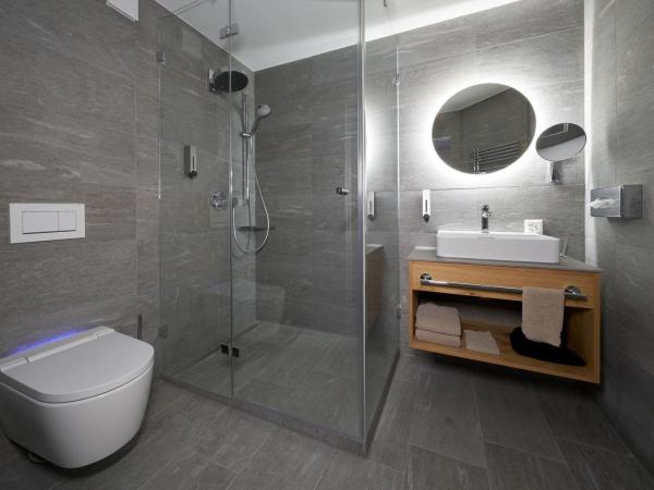 Aparthotel Grischuna : photo 3 de la chambre suite