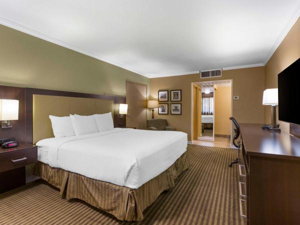 Best Western Royal Sun Inn & Suites : photo 2 de la chambre chambre lit king-size - accessible aux personnes à mobilité réduite