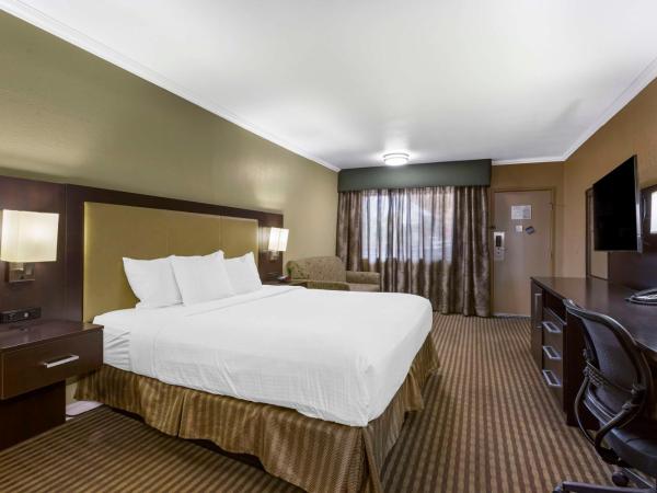 Best Western Royal Sun Inn & Suites : photo 1 de la chambre suite lit king-size avec douche accessible en fauteuil roulant - non-fumeurs