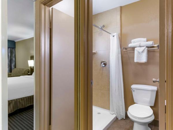 Best Western Royal Sun Inn & Suites : photo 5 de la chambre chambre lit king-size avec canapé-lit - non-fumeurs