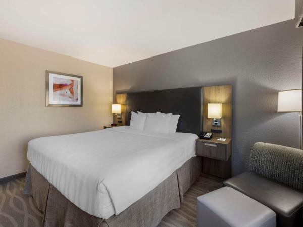Best Western Plus Nashville Airport Hotel - BNA : photo 1 de la chambre chambre lit king-size