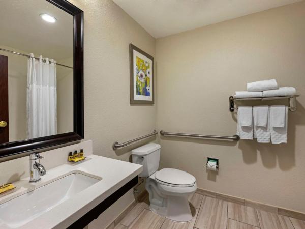 Best Western Plus Nashville Airport Hotel - BNA : photo 4 de la chambre chambre lit king-size avec baignoire - accessible aux personnes à mobilité réduite