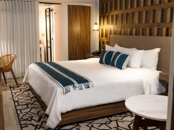 Hotel Indigo Guadalajara Expo, an IHG Hotel : photo 7 de la chambre hébergement lit king-size standard