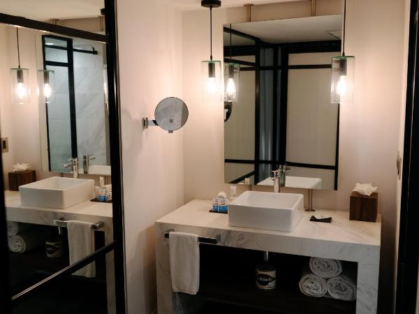 Hotel Indigo Guadalajara Expo, an IHG Hotel : photo 2 de la chambre hébergement lit king-size standard