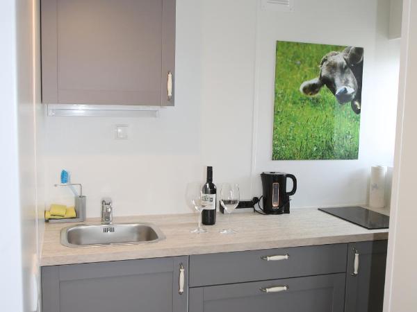 Hotel Sonnenhof - bed & breakfast & appartements : photo 4 de la chambre studio - vue sur montagne