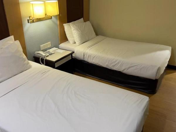 Palace Hotel : photo 3 de la chambre chambre lits jumeaux standard