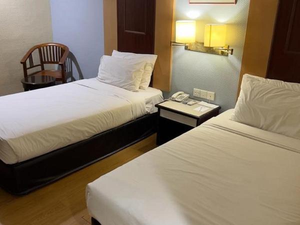 Palace Hotel : photo 4 de la chambre chambre lits jumeaux standard