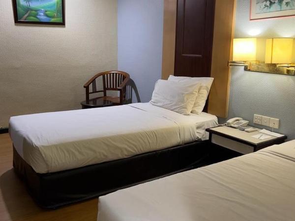 Palace Hotel : photo 5 de la chambre chambre lits jumeaux standard