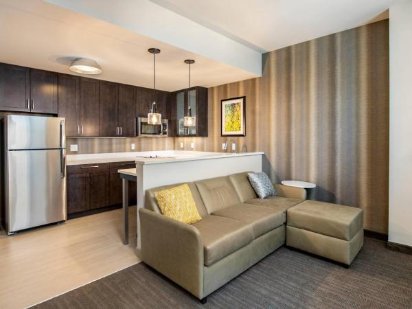 Residence Inn by Marriott Houston Medical Center/NRG Park : photo 1 de la chambre studio, 1 king, sofa bed, city view