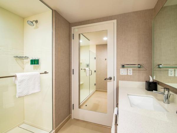 Residence Inn by Marriott Houston Medical Center/NRG Park : photo 4 de la chambre studio, 1 king, sofa bed, city view