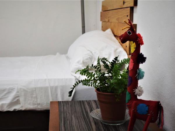 Hostal Casa Bohemia : photo 1 de la chambre chambre double