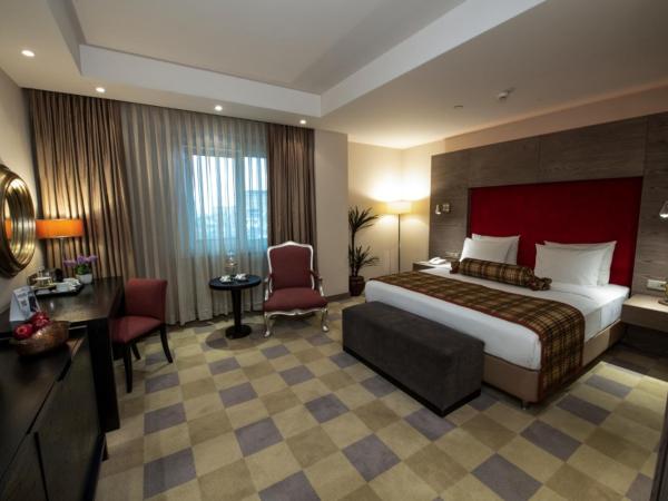Agaoğlu My City Hotel Istanbul : photo 2 de la chambre chambre standard