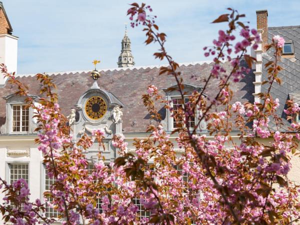 Hotel Rubens-Grote Markt : photo 7 de la chambre suite junior - vue sur jardin