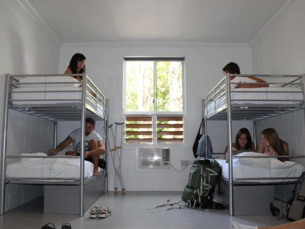Port Douglas Backpackers : photo 3 de la chambre bed in 8-bed mixed dormitory room with shared bathroom (ages 18 - 35 only)