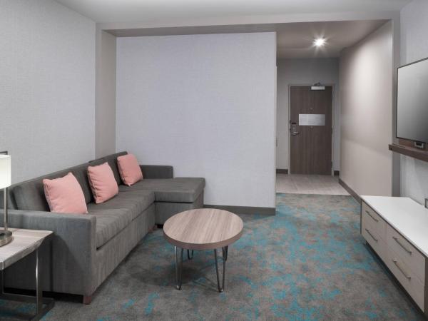 Courtyard by Marriott Houston Heights/I-10 : photo 1 de la chambre suite lit king-size avec canapé-lit - non-fumeurs