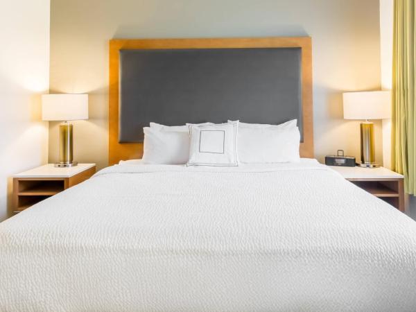 SpringHill Suites by Marriott Houston Brookhollow : photo 4 de la chambre suite lit king-size avec canapé-lit