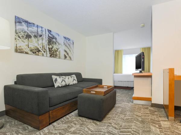 SpringHill Suites by Marriott Houston Brookhollow : photo 1 de la chambre suite lit king-size avec canapé-lit