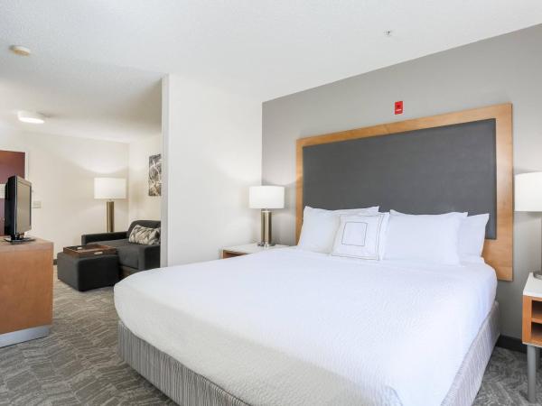 SpringHill Suites by Marriott Houston Brookhollow : photo 2 de la chambre suite lit king-size avec canapé-lit